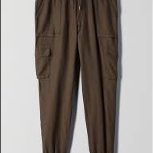 Gorgeous Aritzia Community Cargo Pants - Picture 4 of 7